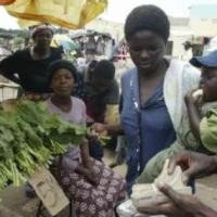 Beli Sayur dengan Segepok Uang